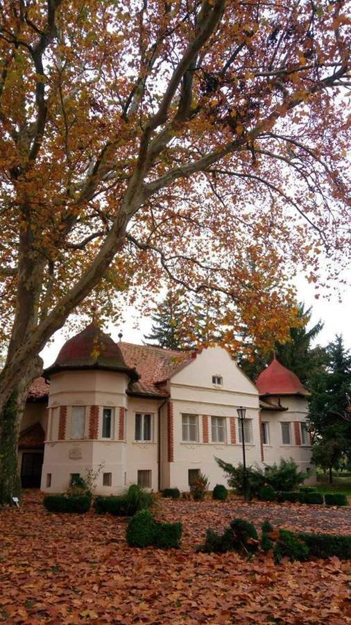 Bed and Breakfast Kastelyszallo Mateszalka Exterior foto